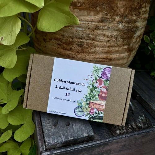 مجموعة بذور السلطة الملونة