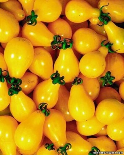 بذور طماطم كمثري اصفر ( عضوي ) -Organic Yellow Pea...