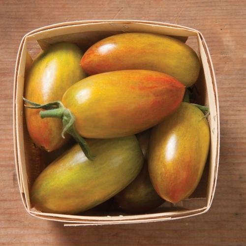 بذور طماطم لاكي تايقر - Lucky Tiger Tomato