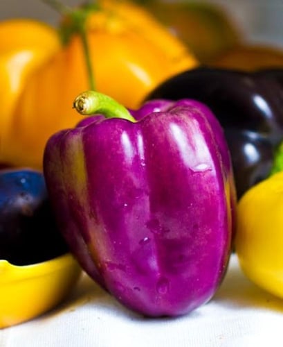 بذور فلفل الجمال البنفسجي حلو -Purple Beauty Sweet...