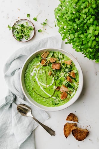 بذور كزبرة للمايكروجرينز والأستنبات - Coriander se...