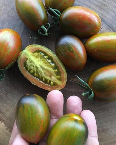 بذور طماطم النمر الأخضر - Green Tiger Tomato Seeds