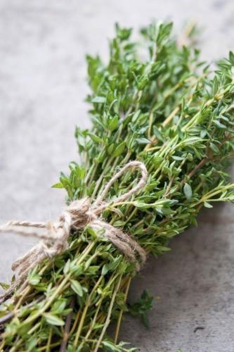 بذور زعتر ثايم فرنسي - French thyme seeds