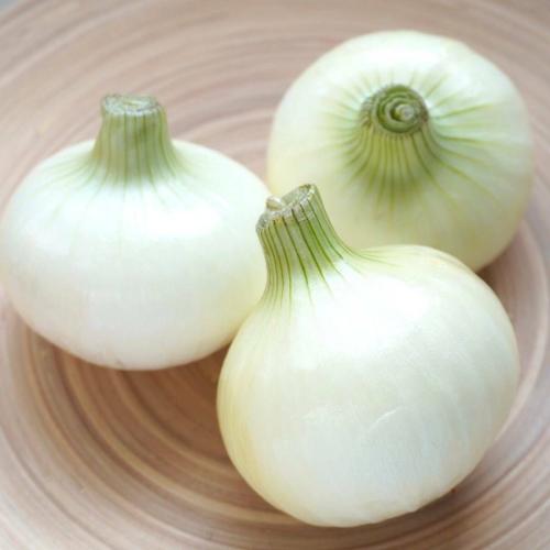 بذور بصل ابيض امريكي - American white onion seeds
