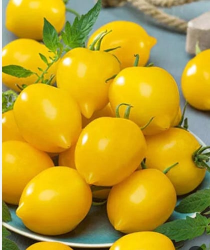 بذور طماطم الليمون - lemon tomato seeds