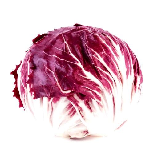 بذور هندباء راديكيو الحمراء - Red chicory seeds