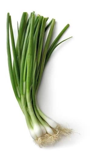 بذور بصل اخضر بلدي - Local green onions
