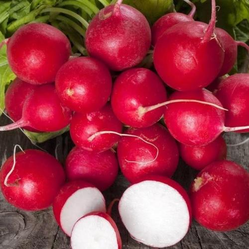 بذور فجل كرزي - Cherry Belle Radish