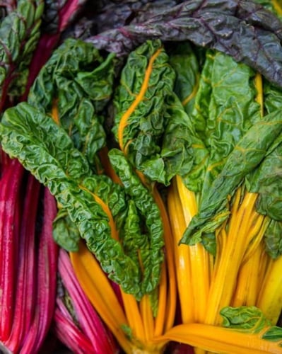 بذور سلق سويسري ملون (عضوي ) - Organic Rainbow Swi...