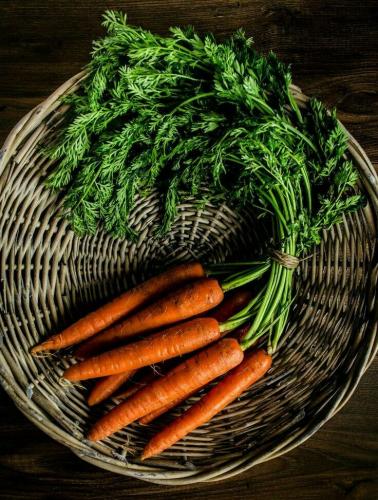 بذور الجزر الاصبع الصغير عضوي - Organic Little Fin...