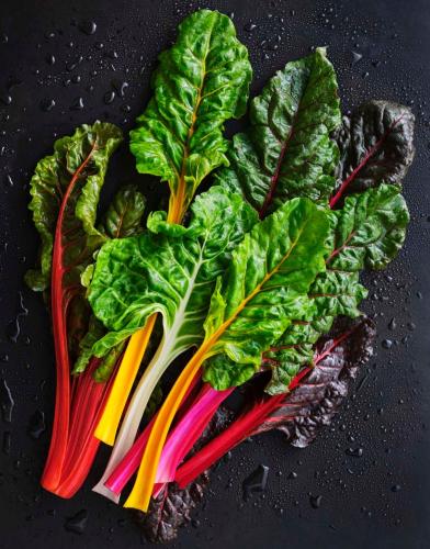 بذور سلق سويسري ملون (عضوي ) - Organic Rainbow Swi...