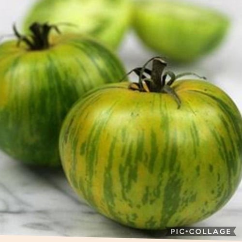 بذور طماطم السلطة الحمار الوحشي اخضر - Tomato Seed...