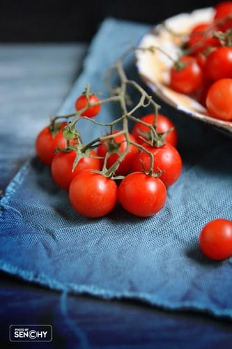 بذور طماطم الكرز متعة البستاني ( عضوية ) - Tomato...