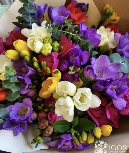 ابصال ازهار الفريزيا الملونة - Colored freesia bul...