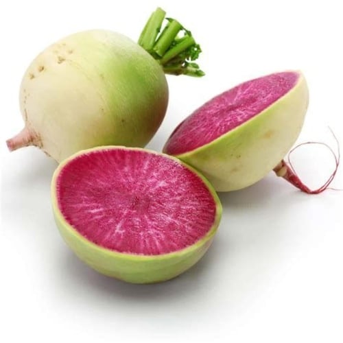 بذور فجل البطيخ - Red Meat Radish Seeds