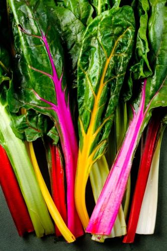 بذور سلق ملون اضواء شارد الساطعة -Colorful Swiss C...