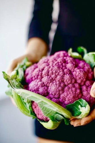 بذور قرنبيط بنفسجي - purple cauliflower seeds
