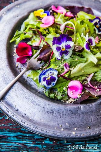 بذور خليط زهور قابلة للأكل- Edible Flower Mix Seed...