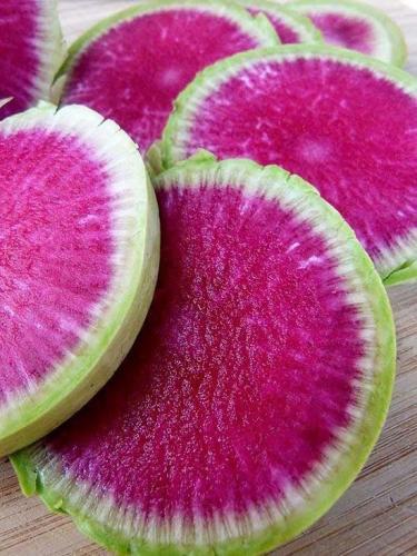 بذور فجل البطيخ - Red Meat Radish Seeds