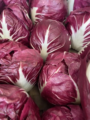 بذور هندباء راديكيو الحمراء - Red chicory seeds