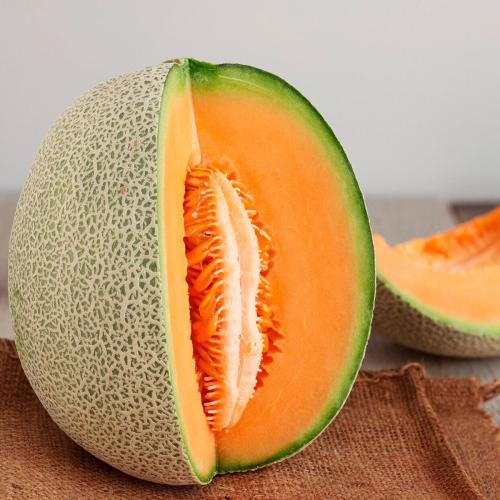 بذور الشمام الجامبو - Melon Seeds - Cantaloupe - H...