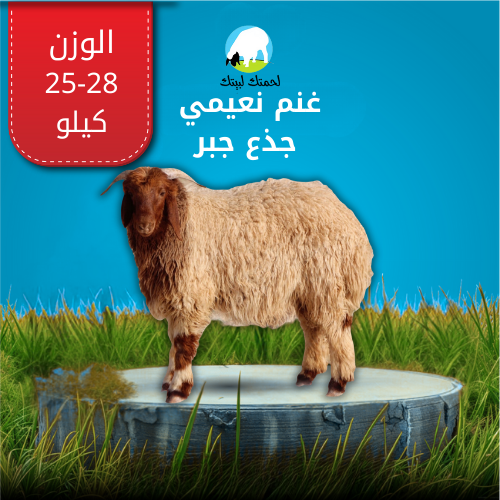 غنم نعيمي جذع جبر