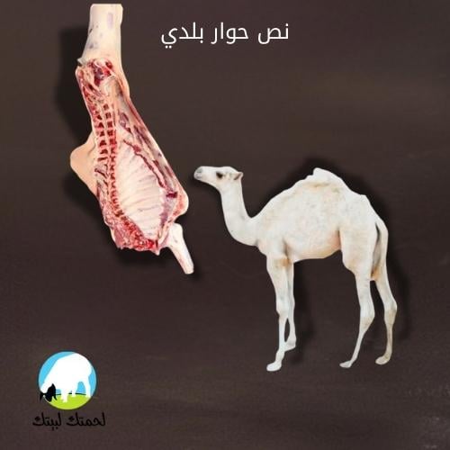 نص حوار بلدي