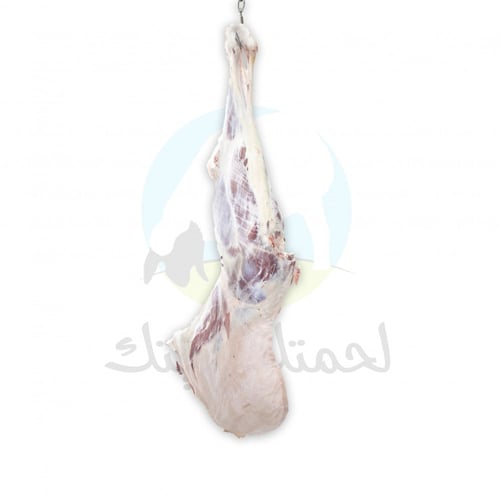 ربع حوار (بلدي)