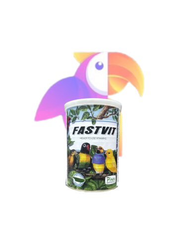 معادن للطيور - FastVit