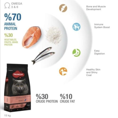 طعام القطط المعقمة