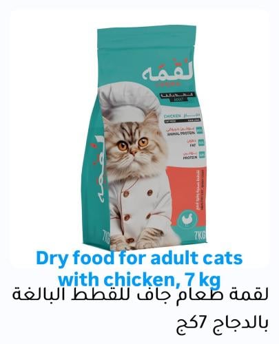 طعام القطط البالغه بالدجاج