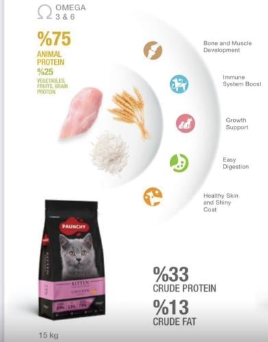 طعام القطط الصغيره بالدجاج