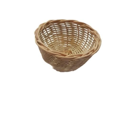 عش طيور الكناري وطائر الزيبرا