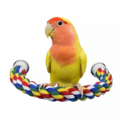 حبل مرن سهل التثبيت خارج وداخل القفص - مجثم طيور ح...