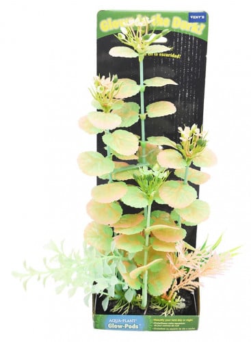 النباتات المائية