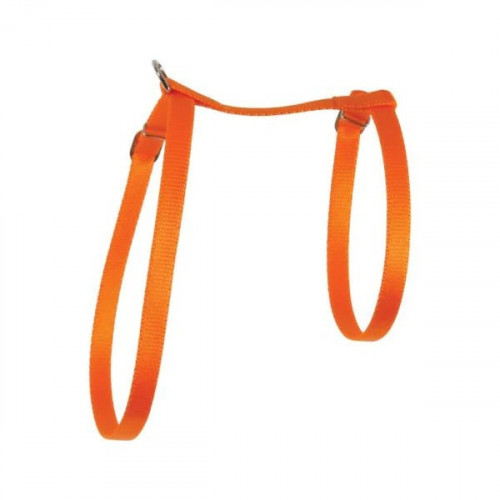 زولكس هارنس نايلون للقطط - برتقالي