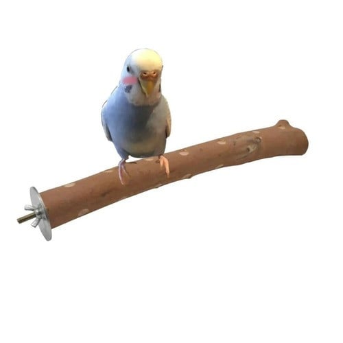 مجثم طيور من الخشب عالي الجودة