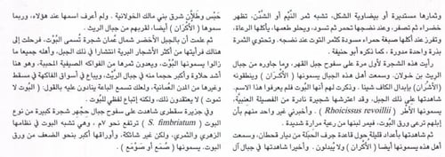 بوت عماني 10 بذرة Sideroxylon mascatense