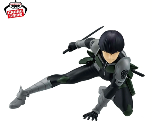 مجسم سوشيرو هوشينا