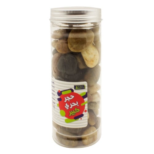 علبة حجر بحري كبير