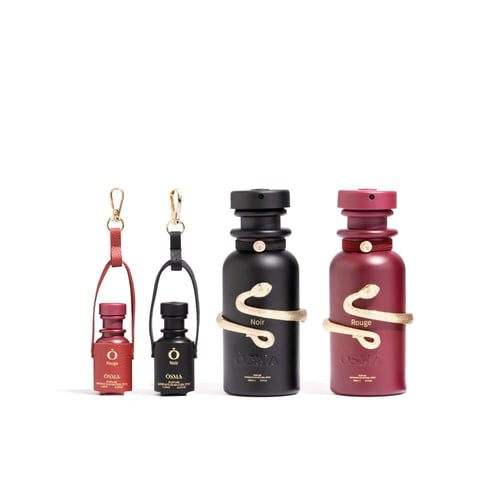 باقة الشتاء