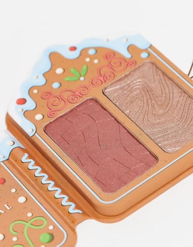 باليت نيكس بلاشر مع اضاءة بيور لي فيساج