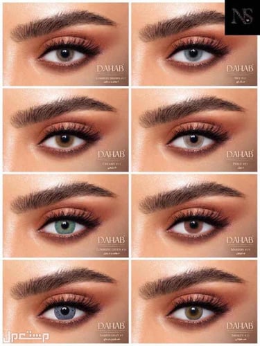 عدسات ذهب اليومية