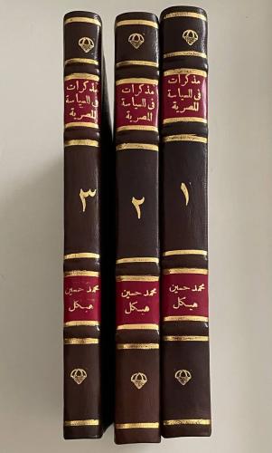 مذكرات في السياسة المصرية ١-٣