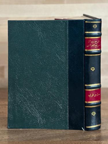 شرح ديوان صريع الغواني - ذخائر العرب