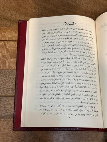 شعر مروان بن أبي حفصة