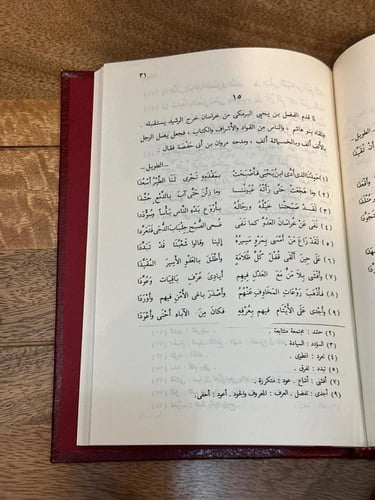 شعر مروان بن أبي حفصة