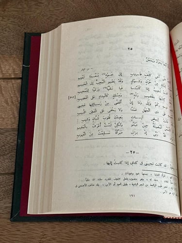 شرح ديوان صريع الغواني - ذخائر العرب