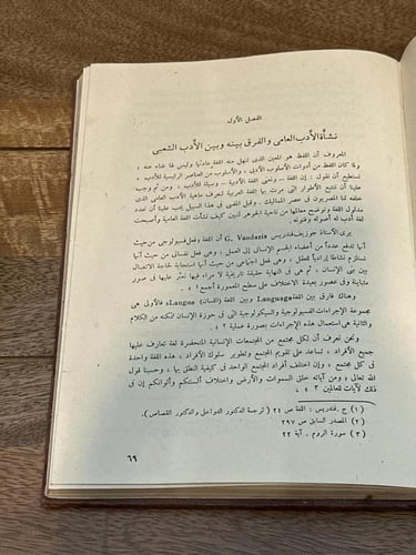 الأدب العامي في مصر في العصر المملوكي