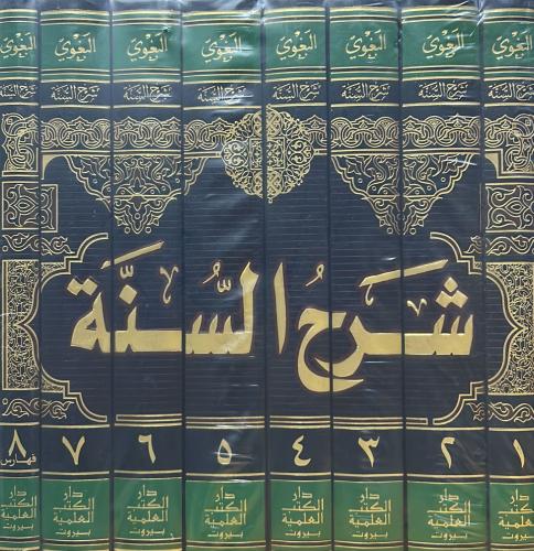 شرح السنة 8/1